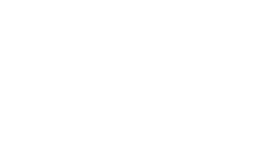 Party-bus